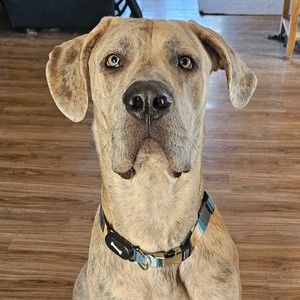 Meet your Posher, Tawnya